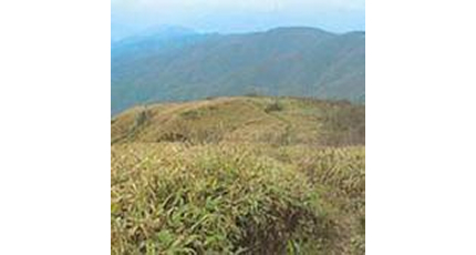写真：安蔵寺山
