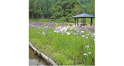 写真：水源公園