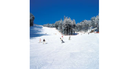 写真：めがひらスキー場