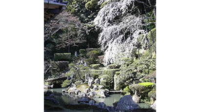 写真：雪舟庭園（医光寺）
